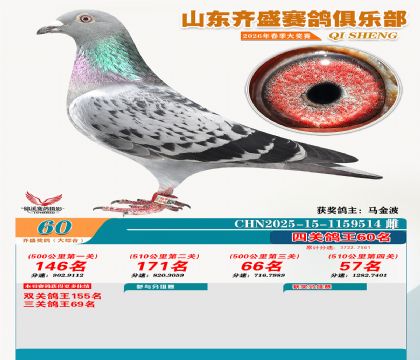 齐盛大综合鸽王60名