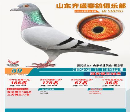 齐盛大综合鸽王59名