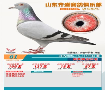 齐盛大综合鸽王61名
