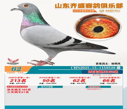 齐盛大综合鸽王62名