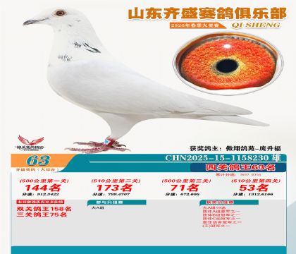 齐盛大综合鸽王63名