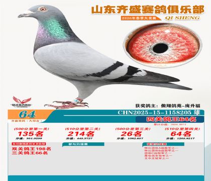 齐盛大综合鸽王64名