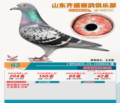 齐盛大综合鸽王65名