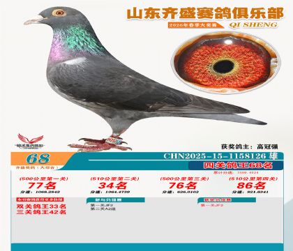 齐盛大综合鸽王68名