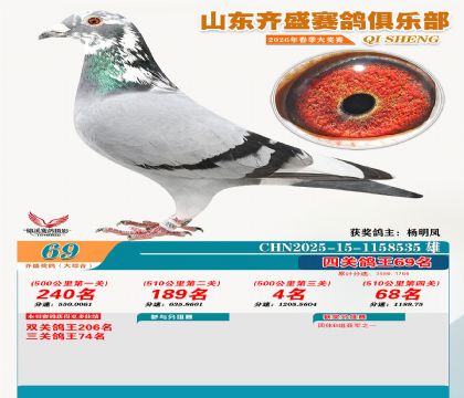齐盛大综合鸽王69名