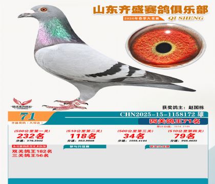 齐盛大综合鸽王71名