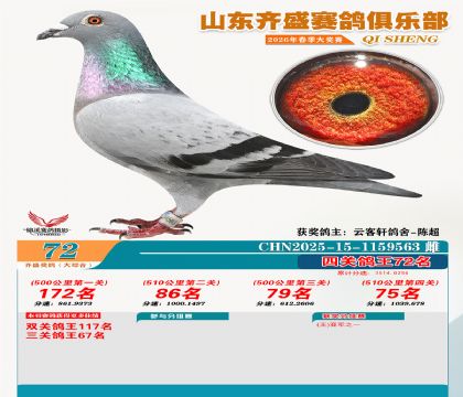 齐盛大综合鸽王72名
