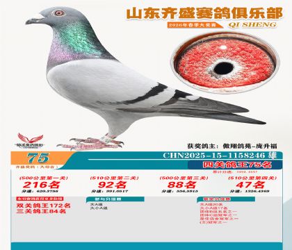 齐盛大综合鸽王75名