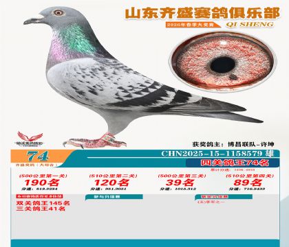齐盛大综合鸽王74名