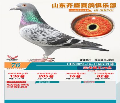 齐盛大综合鸽王76名