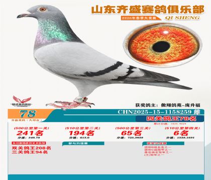齐盛大综合鸽王78名