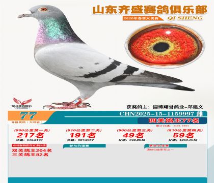 齐盛大综合鸽王77名