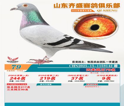 齐盛大综合鸽王79名