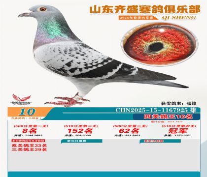 ��ʢС�ۺϸ���10��
