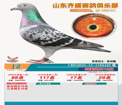 ��ʢС�ۺϸ���12��