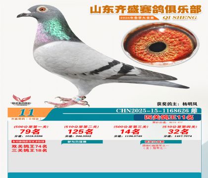 ��ʢС�ۺϸ���11��