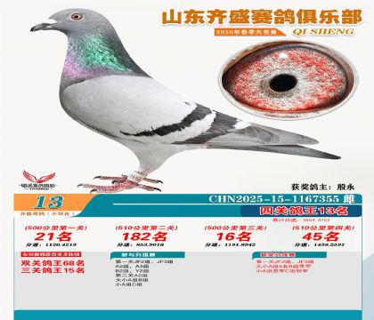 ��ʢС�ۺϸ���13��