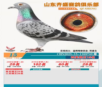 ��ʢС�ۺϸ���15��