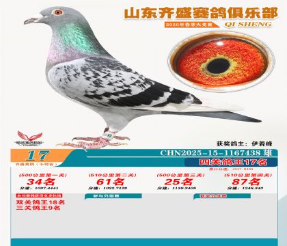 ��ʢС�ۺϸ���17��