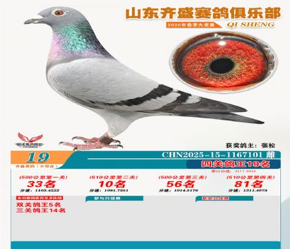 ��ʢС�ۺϸ���19��