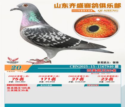 ��ʢС�ۺϸ���20��