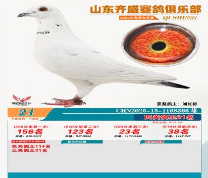 ��ʢС�ۺϸ���21��