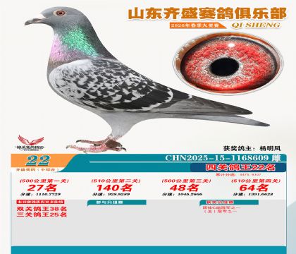 ��ʢС�ۺϸ���22��
