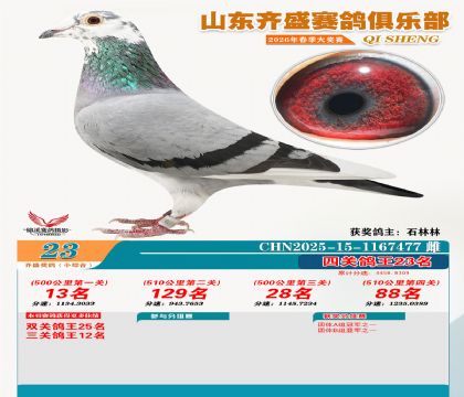 ��ʢС�ۺϸ���23��