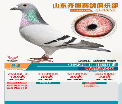 ��ʢС�ۺϸ���24��