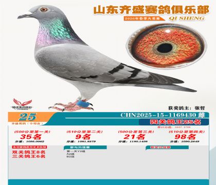 ��ʢС�ۺϸ���25��