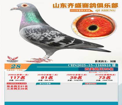 ��ʢС�ۺϸ���28��