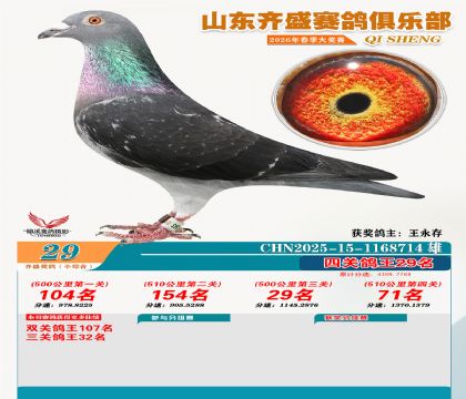 ��ʢС�ۺϸ���29��