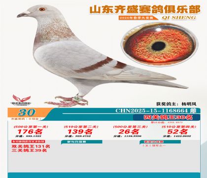 ��ʢС�ۺϸ���30��