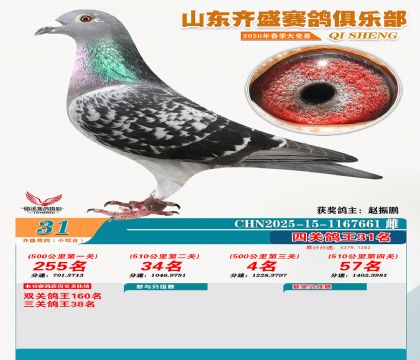 ��ʢС�ۺϸ���31��