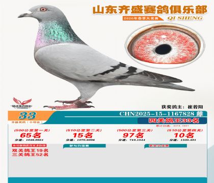 ��ʢС�ۺϸ���33��