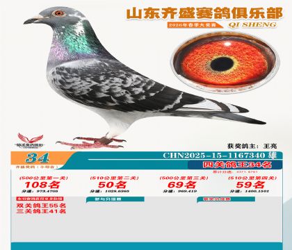 ��ʢС�ۺϸ���34��