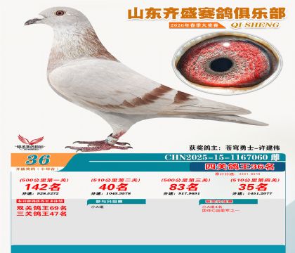 ��ʢС�ۺϸ���36��