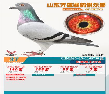 ��ʢС�ۺϸ���37��