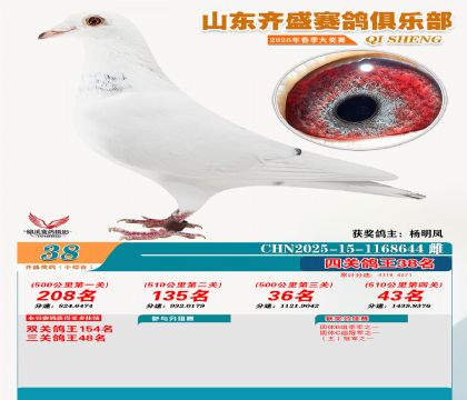 ��ʢС�ۺϸ���38��