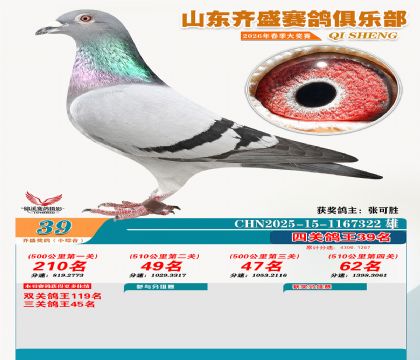 ��ʢС�ۺϸ���39��