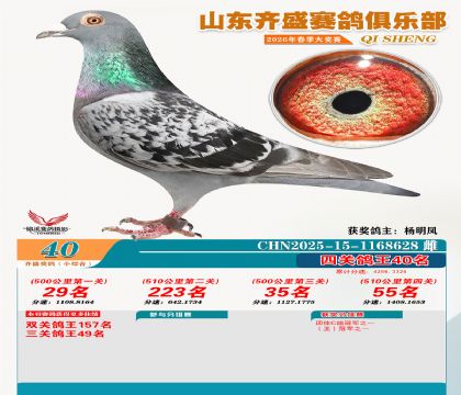 ��ʢС�ۺϸ���40��