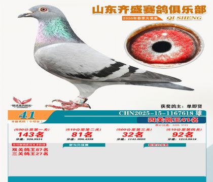 ��ʢС�ۺϸ���41��