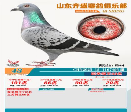 ��ʢС�ۺϸ���43��