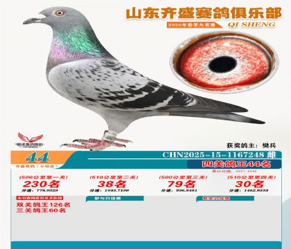 ��ʢС�ۺϸ���44��
