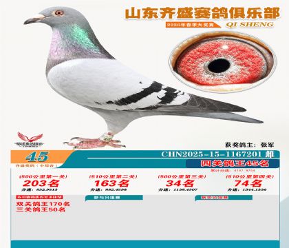 ��ʢС�ۺϸ���45��