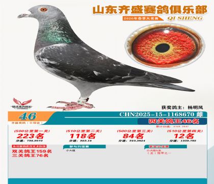 ��ʢС�ۺϸ���46��