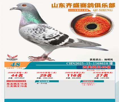 ��ʢС�ۺϸ���48��