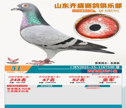 ��ʢС�ۺϸ���51��
