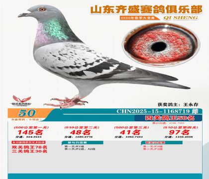 ��ʢС�ۺϸ���50��