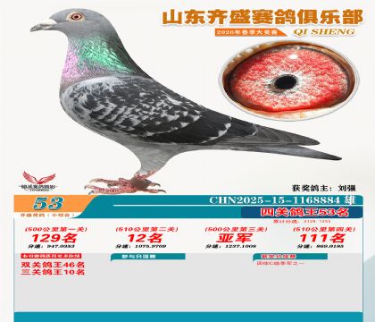 ��ʢС�ۺϸ���53��